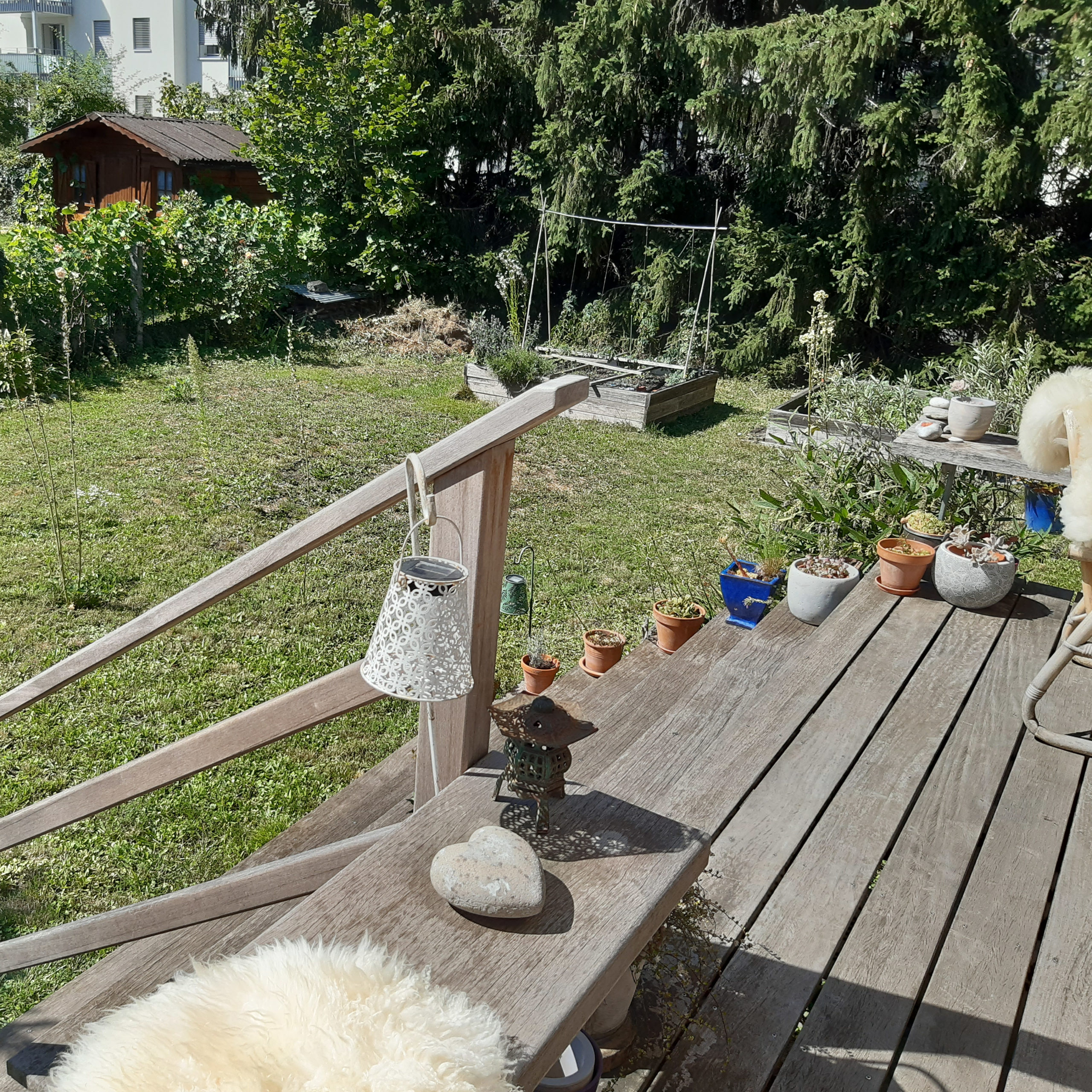 Jardin stephany 3