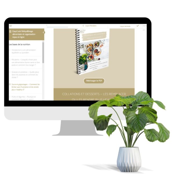 EasyCook - Rééquilibrage alimentaire et organisation repas en ligne