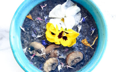 Velouté champignons haricots blancs – Ma recette de nutritionniste