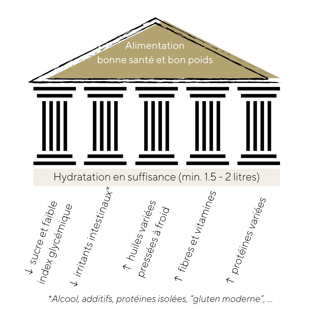 Piliers alimentation bonne santé bon poids