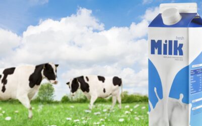 Le lait sans lactose est-il une bonne alternative en cas de symptômes inflammatoires?